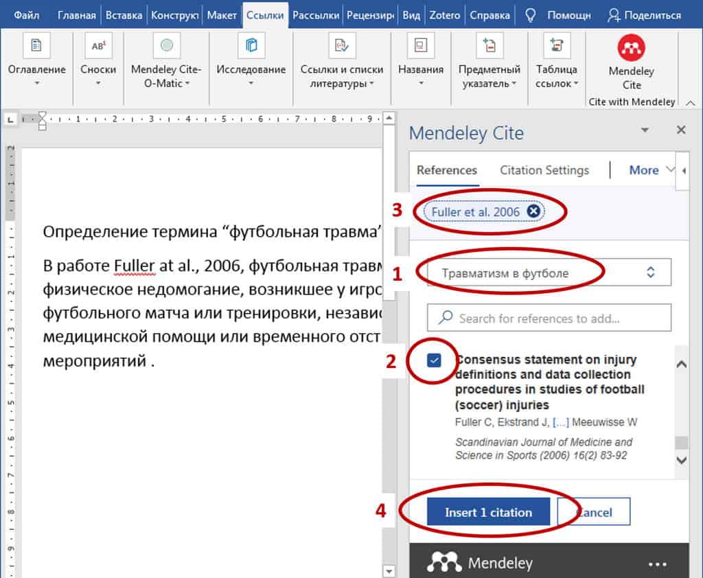 Work Mendeley Cite 03